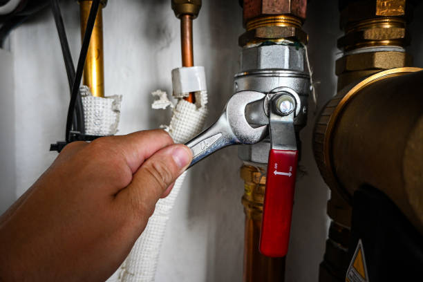 Best Toilet Repair Services  in Goodland, IN